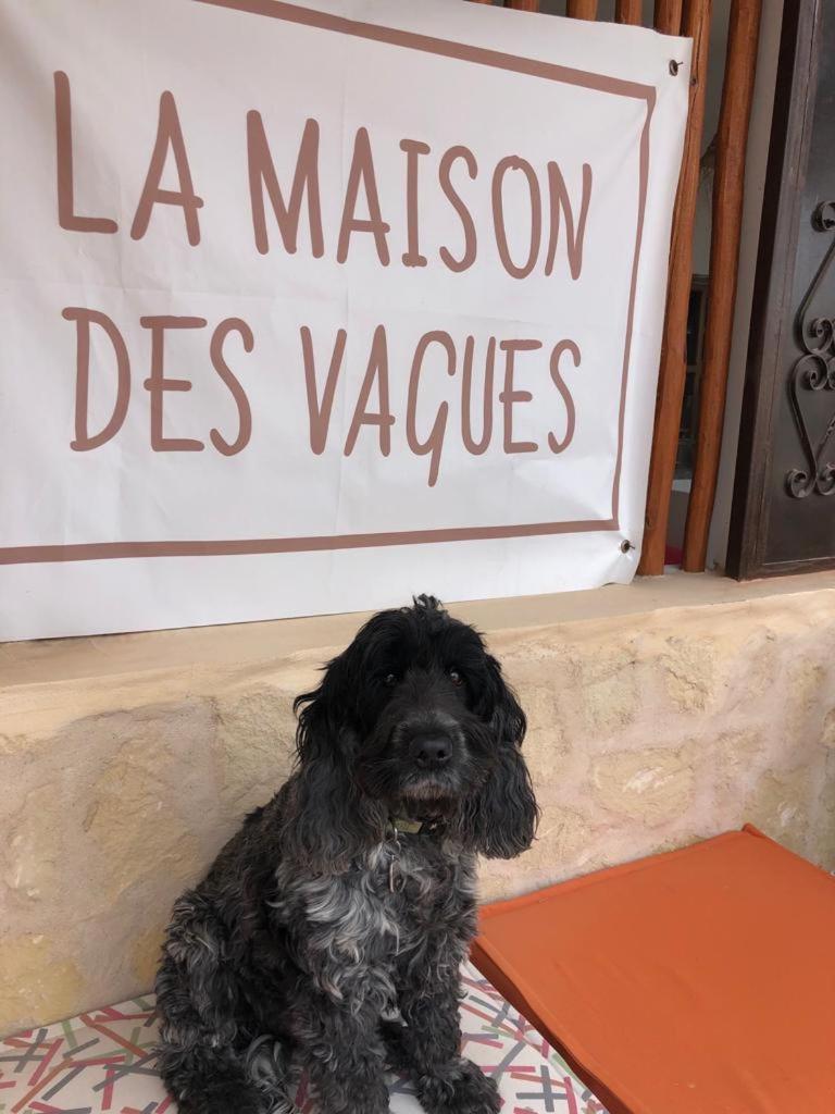 La Maison Des Vagues Sidi Kaouki Dış mekan fotoğraf